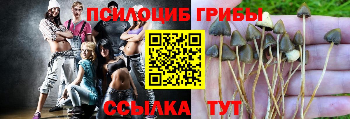 Галлюциногенные грибы прущие грибы Уссурийск