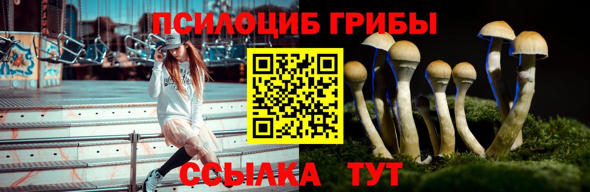 Галлюциногенные грибы Magic Shrooms  сколько стоит  Уссурийск  Вход с VPN  Псилоцибиновые грибы мухоморы 